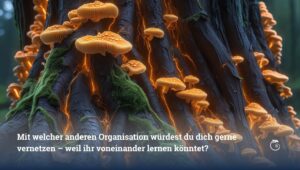 Frage zu Geben & Nehmen - Was Organisationen von Pilzen lernen können - Lightning Talk #loscon25 - Felix Harling